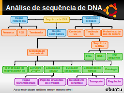 Slide 32