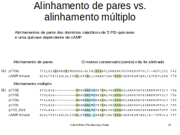 Slide 21
