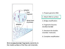 Slide 23